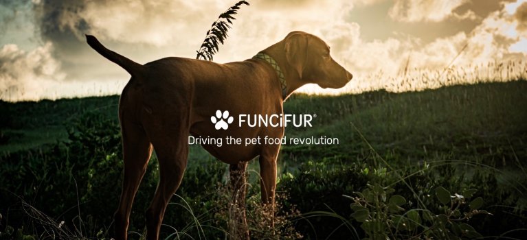 FUNCiFUR – insektsbaserat helfoder för hundar